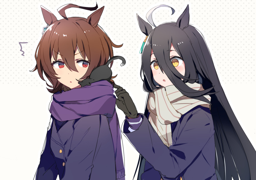 2girls :o ^^^ agnes_tachyon_(umamusume) ahoge animal_ears bangs black_gloves black_hair brown_hair cat coat dot_nose earrings gloves hair_between_eyes hand_up hekino_(aoruri) horse_ears jewelry long_hair long_sleeves manhattan_cafe_(umamusume) multicolored_hair multiple_girls orange_hair parted_lips purple_coat scarf short_hair single_earring streaked_hair umamusume upper_body v-shaped_eyebrows yellow_eyes