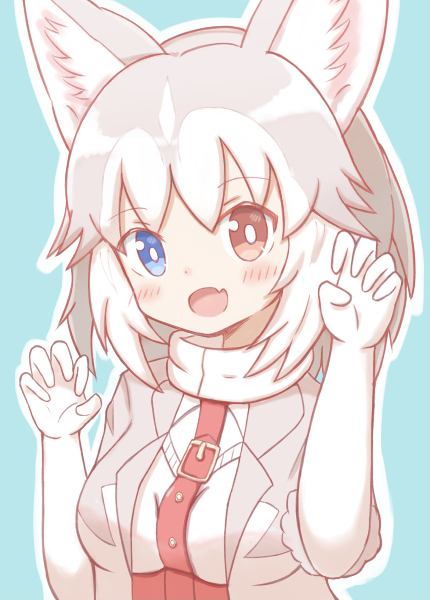 1girl :d animal_ear_fluff animal_ears belt belt_buckle blue_background blue_eyes blush breasts buckle claw_pose commentary_request dog_(mixed_breed)_(kemono_friends) dog_ears elbow_gloves fang gloves grey_hair grey_jacket hands_up heterochromia high-waist_skirt highres jacket kemono_friends looking_at_viewer medium_breasts multicolored_hair open_clothes open_jacket outline red_belt red_eyes red_skirt shirt short_sleeves skirt smile solo sunanuko_(ramuneko) two-tone_hair white_gloves white_hair white_outline white_shirt