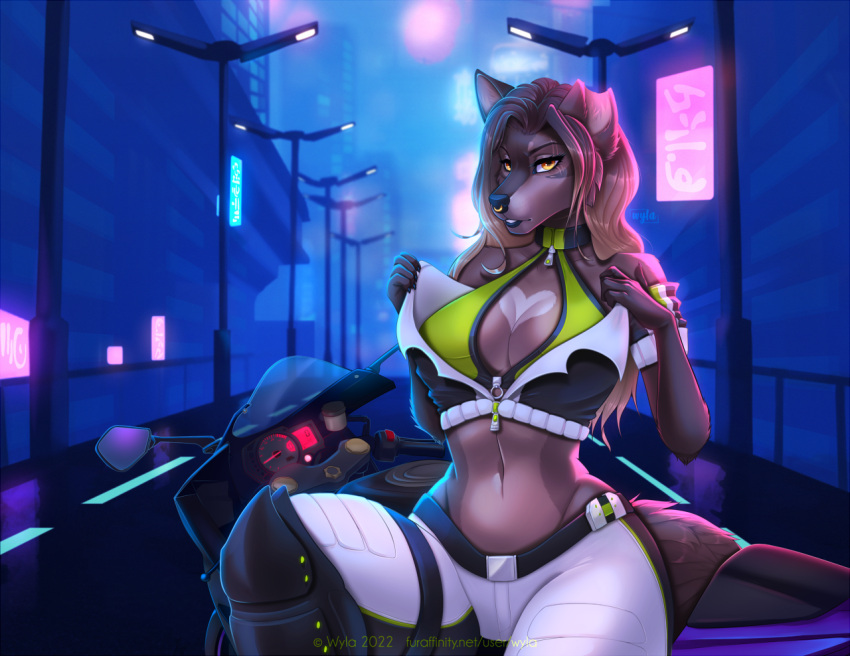 5_fingers anthro breasts brown_body brown_fur brown_hair canid canine clothed clothing collar detailed_background eyebrows eyelashes female fingers fur hair looking_at_viewer mammal midriff navel night orange_eyes outside solo text wyla