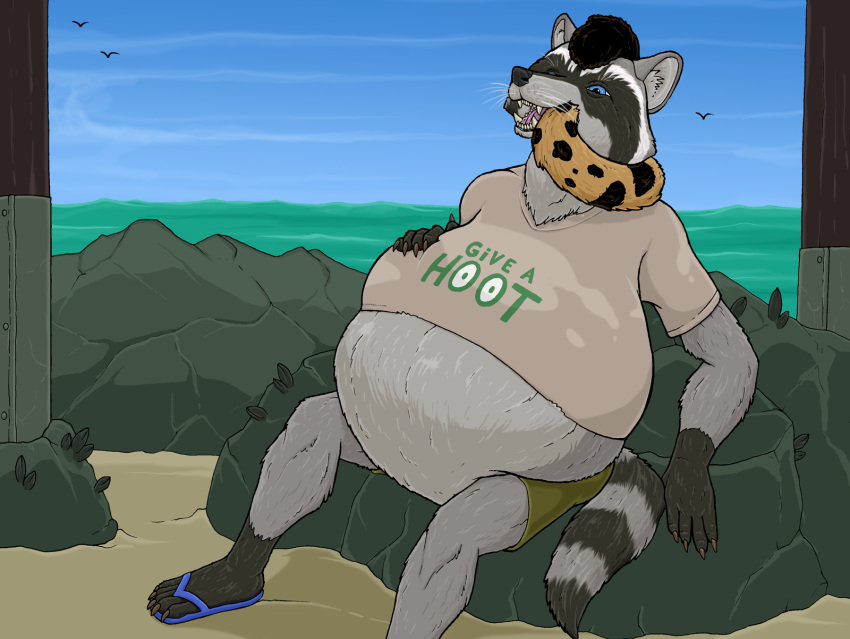 almost_fully_inside ambient_bird ambiguous_gender ambiguous_prey anthro anthro_pred avian belly big_belly bird blue_eyes body_in_mouth bottomwear cheetah clothing duo felid feline flip_flops footwear fur grey_body grey_fur head_first hi_res male male_pred mammal markings open_mouth oral_vore outside procyonid raccoon ranger_rick ranger_rick_(character) sand sandals sea shirt shorts snout soft_vore spots spotted_markings spotted_tail strega striped_markings striped_tail stripes tail tail_markings topwear vore water whiskers