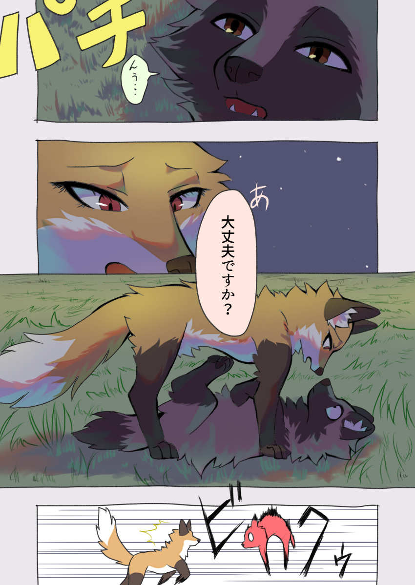 2023 absurd_res ambiguous_gender black_nose brown_body brown_eyes brown_fur brown_tail_tip canid canine comic countershading dialogue digital_media_(artwork) dipstick_tail duo eye_contact eyelashes face_to_face facing_each_other feral fluffy fluffy_tail fox fur gloves_(marking) grass grass_field hi_res inner_ear_fluff japanese_text kurumilky6 leg_markings looking_at_another lying mammal marimo_(kurumilky6) markings mikan_(kurumilky6) multicolored_body multicolored_fur on_back on_top orange_body orange_fur outside partially_translated plant prick_ears quadruped raccoon_dog red_eyes socks_(marking) speech_bubble tail tail_markings tan_body tan_fur tanuki text translation_request tuft two_tone_body two_tone_fur white_body white_fur white_inner_ear_fluff white_tail_tip