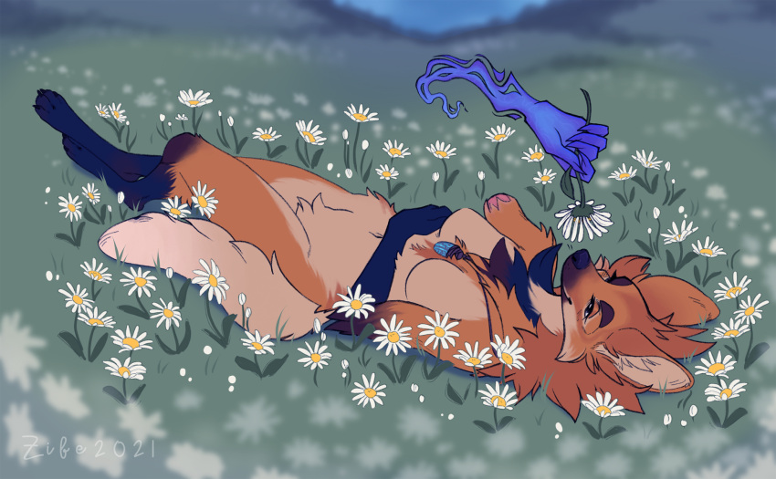 anthro breasts canid canine cassandra_de_luca crotch_tuft featureless_breasts female flower fur hi_res lying mammal maned_wolf missing_arm nude on_back outside plant smile solo tuft zibeline