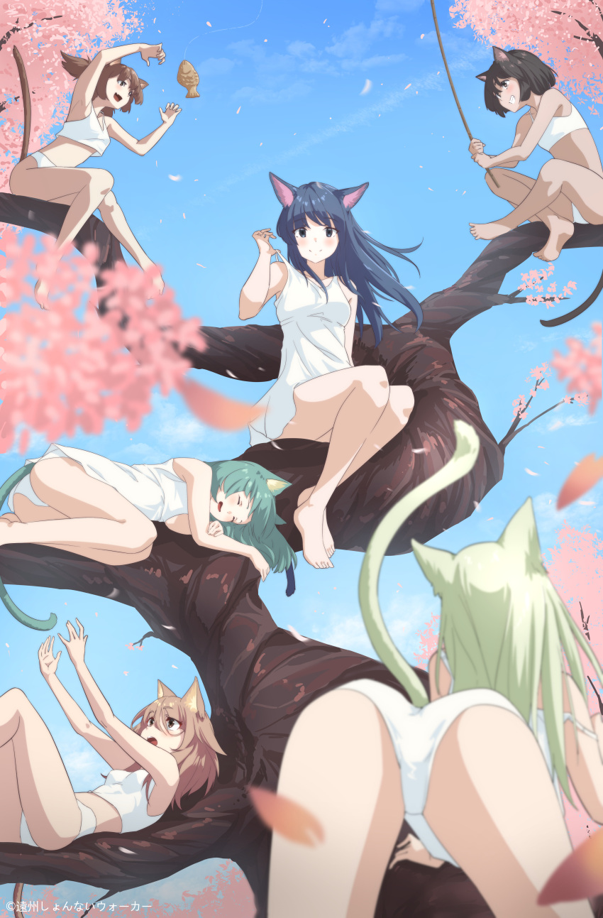 6+girls :d absurdres animal_ears aqua_hair ass bangs barefoot black_eyes blue_hair bra branch breasts brown_eyes brown_hair cat_ears cat_girl cat_tail claw_pose closed_eyes commentary_request dress eyebrows_visible_through_hair fishing_rod green_hair grin highres in_tree light_brown_hair long_hair lying medium_hair multiple_girls on_back on_side original outdoors panties raiz_art_works short_hair sitting sitting_in_tree sleeping sleeveless sleeveless_dress small_breasts smile strap_pull tail teeth toes tree underwear white_bra white_dress white_panties