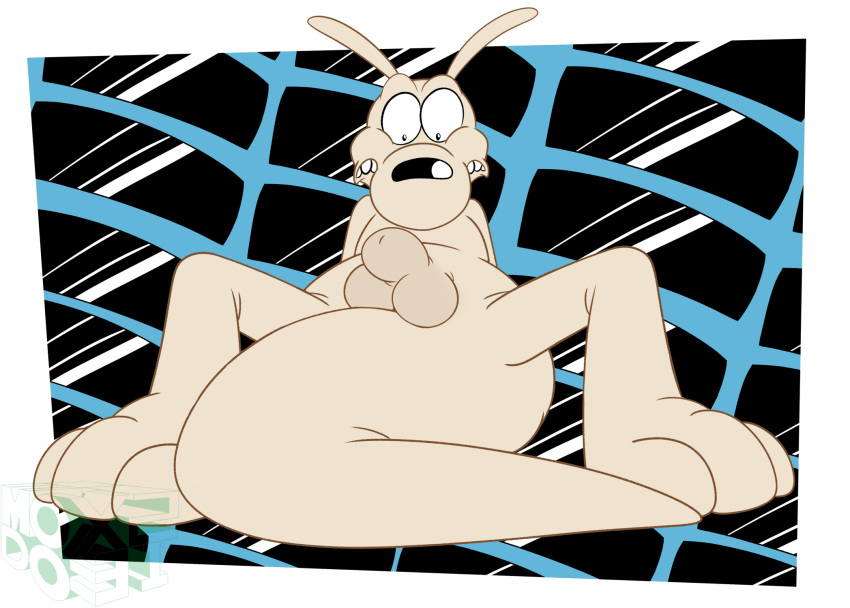 anthro balls digital_media_(artwork) embarrassed enm feet flaccid foreskin frown genitals hi_res looking_at_crotch macropod male mammal marsupial nickelodeon nude penis rocko's_modern_life rocko_rama simple_background soft solo spread_legs spreading toes wallaby x231_(artist)