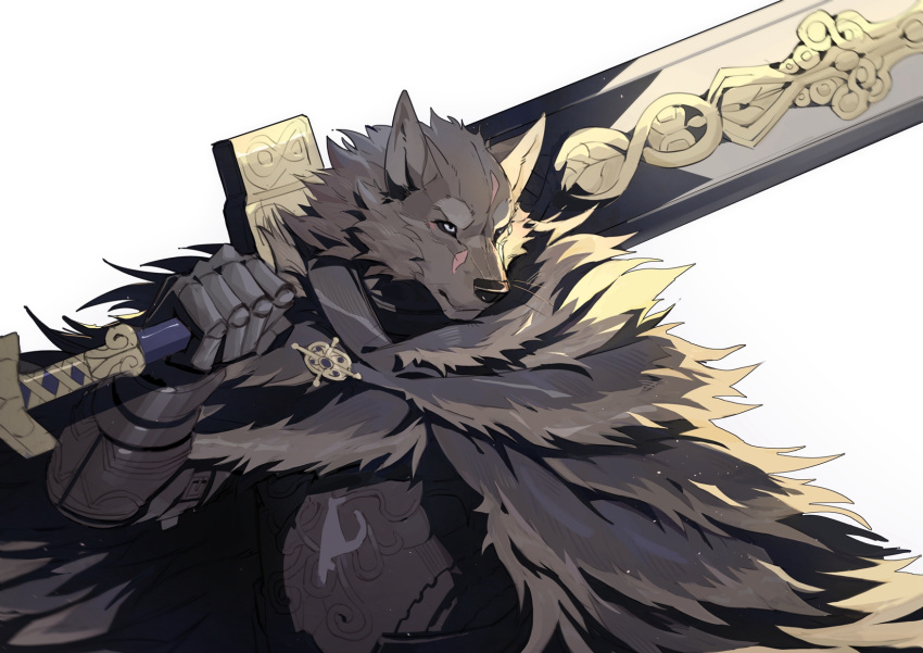 2022 anthro armor black_body black_fur black_sclera blaidd_(elden_ring) breastplate canid canine canis cape clothed clothing elden_ring fromsoftware fur gauntlets gloves half-length_portrait handwear hi_res holding_object holding_sword holding_weapon littleblackalas male mammal melee_weapon portrait scar simple_background solo sword tuft video_games weapon white_background wolf