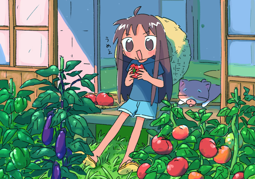 1girl 1nupool :d ahoge animal bangs bell_pepper bell_pepper_plant blue_shirt blue_shorts blush_stickers brown_eyes brown_hair cat eating eggplant eyebrows_visible_through_hair flip-flops food food_on_face fusuma garden grass green_pepper hands_up hat hat_around_neck highres holding holding_food holding_vegetable hot leaf light_particles long_hair no_nose no_pupils open_mouth original outdoors outstretched_legs pepper pet plant sandals scenery shade shirt shoe_soles short_sleeves shorts sitting sliding_doors smile solo spread_legs straight_hair straw_hat sun_hat t-shirt tan tatami tomato_plant tongue tongue_out v-shaped_eyebrows vegetable w_arms yellow_footwear