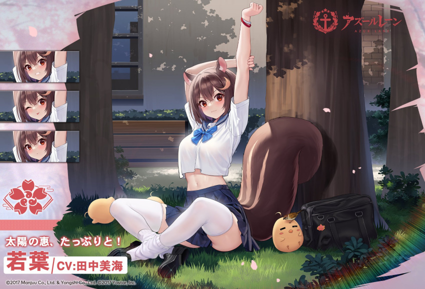 1girl animal_ears arms_up artist_request azur_lane bag black_footwear blue_neckwear bracelet brown_hair closed_mouth commentary_request expressions grass highres jewelry looking_at_viewer manjuu_(azur_lane) midriff navel official_alternate_costume official_art outdoors promotional_art red_eyes sakura_empire_(emblem) school_bag school_uniform serafuku short_hair short_sleeves sitting skirt squirrel_ears squirrel_tail stretch tail thighhighs tree wakaba_(azur_lane) white_legwear