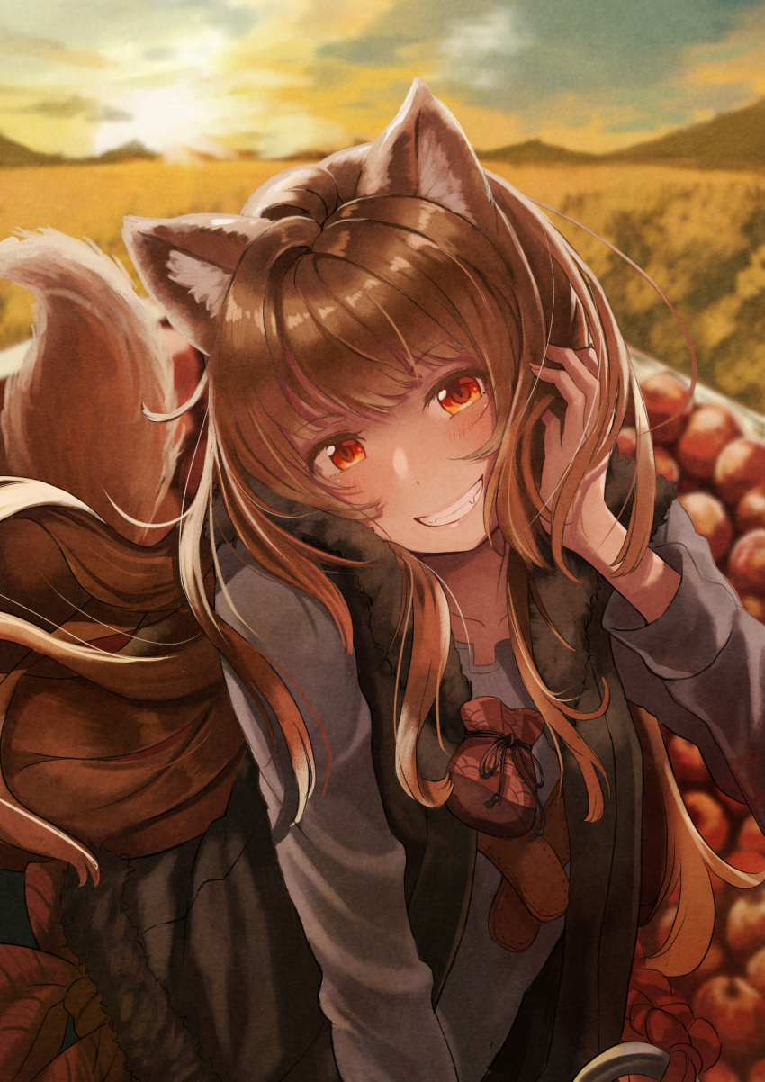 159cm 1girl animal_ear_fluff animal_ears apple bangs black_vest blurry blurry_background brown_hair collarbone day eyebrows_visible_through_hair floating_hair food fruit fur-trimmed_vest grey_shirt grin hand_in_hair head_tilt highres holo long_hair long_sleeves looking_at_viewer open_clothes open_vest orange_eyes outdoors pouch red_apple shiny shiny_hair shirt smile solo spice_and_wolf tail vest wheat_field wolf_ears wolf_tail