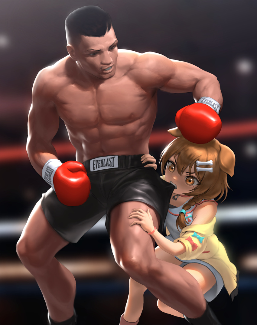 1boy 1girl animal_ears biting bone_hair_ornament boxer boxing boxing_gloves boxing_ring braid brown_hair dark-skinned_male dark_skin dog_ears dog_girl dog_tail feet_out_of_frame hair_ornament highres hololive infi inugami_korone mike_tyson navel real_life short_hair shorts tail tattoo toned toned_male twin_braids virtual_youtuber