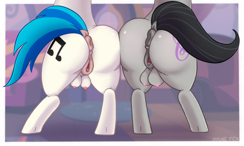 anatomically_correct anatomically_correct_genitalia anatomically_correct_pussy animal_genitalia animal_pussy anus big_butt black_tail blue_tail butt clitoral_winking clitoris cutie_mark dock duo equid equine equine_pussy female friendship_is_magic genitals grey_body hasbro hi_res immunefox mammal my_little_pony nipples octavia_(mlp) puffy_anus pussy raised_tail rear_view signature teats vinyl_scratch_(mlp) white_body