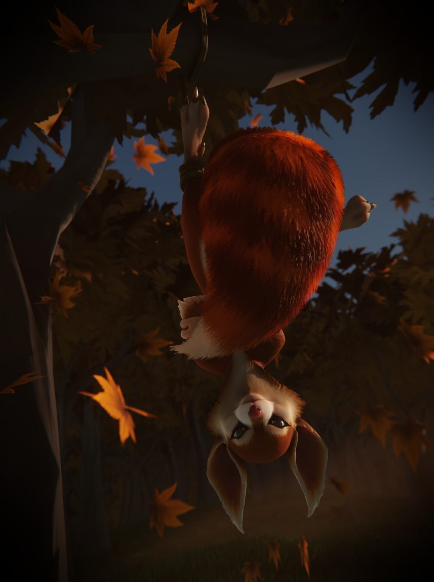 3d_(artwork) absurd_res angry angry_eyes ano_delta anthro bound covering covering_self digital_media_(artwork) dota evening eyelashes female fingers forest fur hi_res hoodwink_(dota) in_tree leaf legs_tied looking_at_viewer mammal plant red_body red_fur rodent sciurid sky solo tail_tuft tree tree_squirrel tuft upside_down video_games white_body