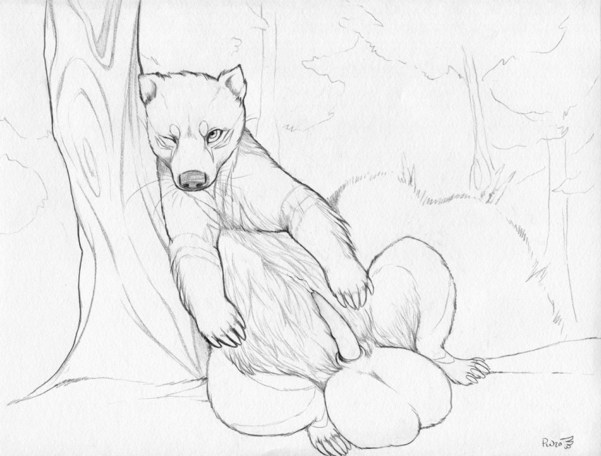 animal_genitalia animal_penis badger balls big_balls bodily_fluids claws european_badger eye_markings feral forest front_view genital_fluids genitals huge_balls leaking_precum leaning leaning_on_object leaning_on_tree looking_at_viewer male mammal markings meles monochrome mustelid musteline one_eye_closed paper-wings penis plant precum presenting presenting_balls presenting_penis signature simple_background solo spread_legs spreading traditional_media_(artwork) tree whiskers