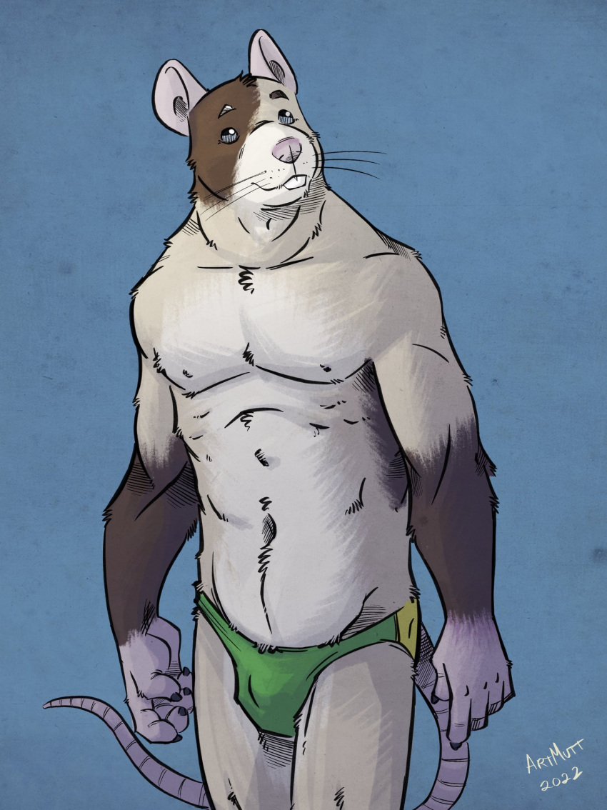 2022 anthro biped bulge clothing green_clothing green_underwear hi_res humanoid_hands k-9 male mammal murid murine navel rat rodent solo underwear