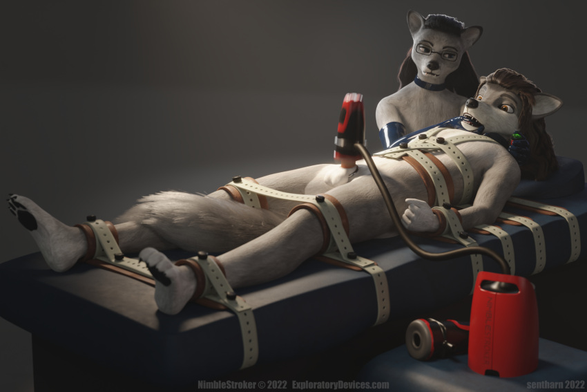 3:2 3d_(artwork) accessory after_orgasm_torture anthro arctic_fox armwear balls bdsm bondage bondage_gear bound canid canine canis claws clenched_fists clothing cock_ring collar controller dalian_(sentharn) digital_media_(artwork) dominant dominant_female dominatrix duo elbow_gloves erection female finger_in_mouth fist fox fur genitals gloves hair handwear hi_res holding_head humanoid_genitalia humanoid_penis jewelry joey_(sentharn) latex_gloves machine male male/female mammal medical_restraints milking_machine mouth_play nimblestroker nude overstimulation pawpads penile penis penis_accessory penis_jewelry penis_milking penis_milking_machine remote_control restraining_table restraint_device restraints segufix sentharn sex simple_background story story_at_source story_in_description submissive submissive_male toe_claws toe_curl white_body white_fur wolf