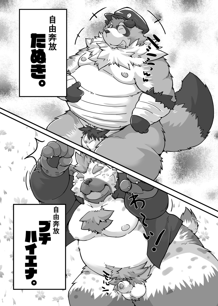 absurd_res anthro belly big_belly canid canine clothing comic eyes_closed flaccid genitals hat headgear headwear hi_res humanoid_genitalia humanoid_hands humanoid_penis hyaenid kemono male mammal moobs nipples overweight overweight_male penis pubes raccoon_dog small_penis solo suishou0602 tanuki