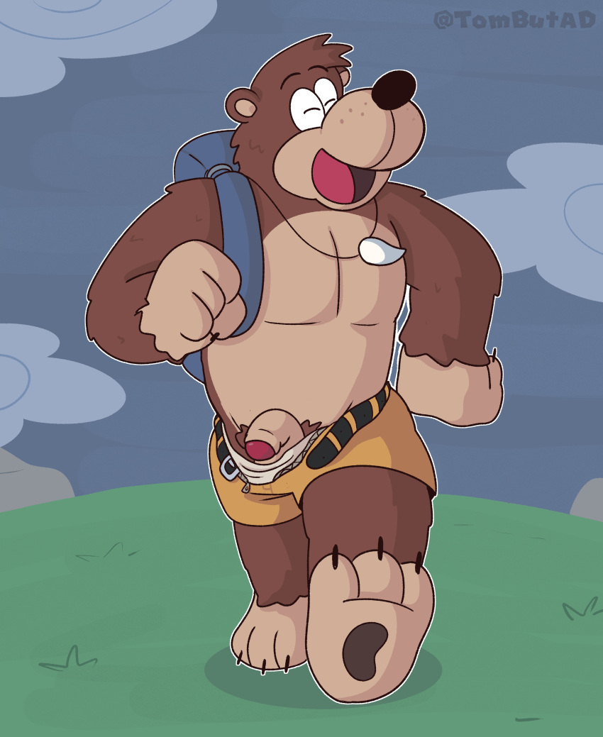 absurd_res accidental_exposure anthro balls banjo-kazooie banjo_(banjo-kazooie) bottomwear brown_body brown_fur clothing flaccid fur genitals hi_res male mammal penis rareware shorts smile solo tombutad ursid video_games