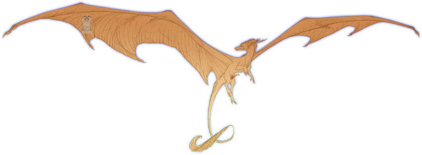 balls claws digital_drawing_(artwork) digital_media_(artwork) dragon erection feral finger_claws flying fur furred_dragon genitals gradient_body hi_res invalid_tag long_neck long_tail male membrane_(anatomy) membranous_wings orange_body penis scalie solo solo_focus spread_wings toe_claws translucent twilightsaint western_dragon wing_claws wings