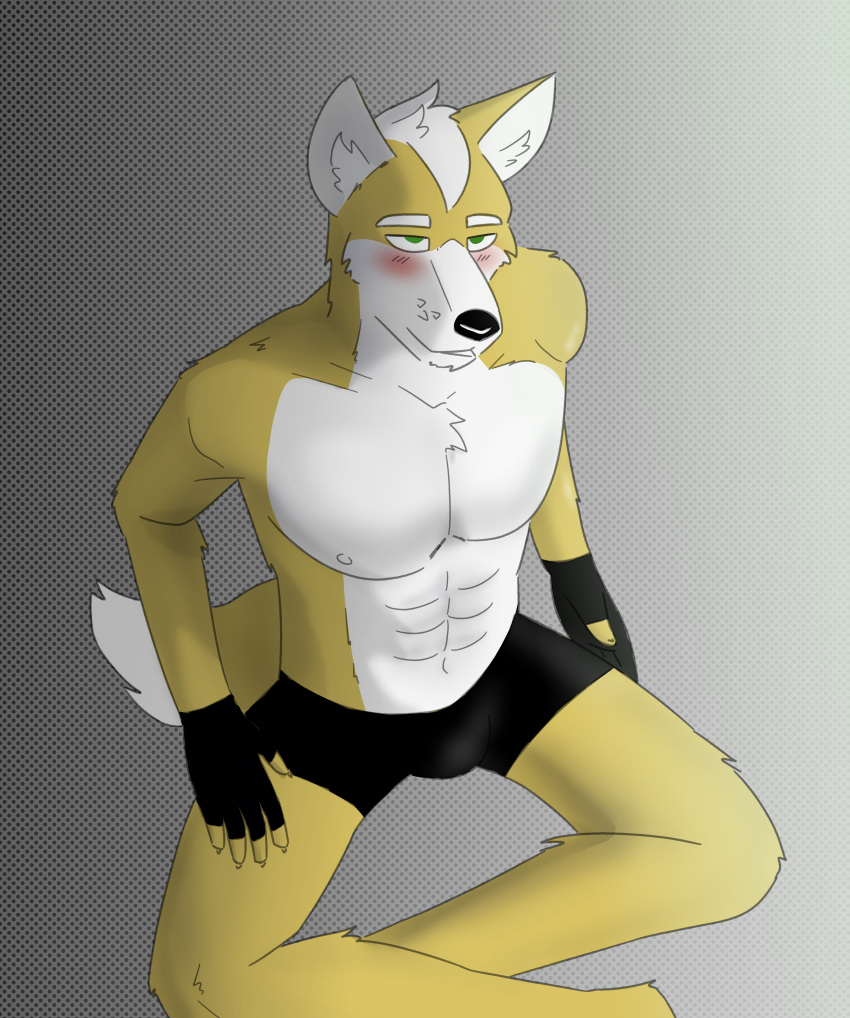 absurd_res blush boxers_(clothing) briefs canid canine clothing fox fox_mccloud fur gloves handwear hi_res male mammal nihilistdigby nintendo simple_background solo star_fox underwear video_games