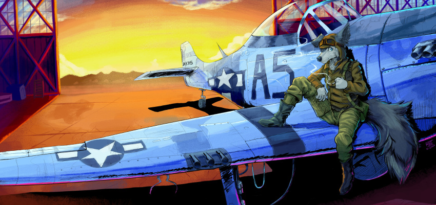 2022 absurd_res aircraft airplane anthro bomber_jacket border_collie canid canine canis carpetwurm cigarette clothing collie conditional_dnp detailed_background domestic_dog herding_dog hi_res male mammal military military_uniform p-51 p-51_mustang pastoral_dog sheepdog signature smile smoking solo sunset uniform world_war_2
