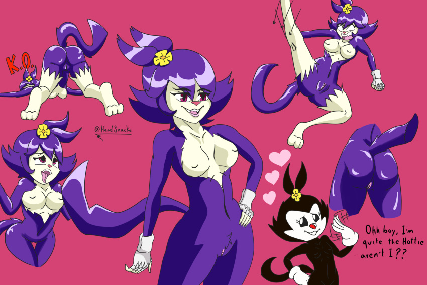 animaniacs animaniacs_(2020) anthro breasts canid clothing digital_drawing_(artwork) digital_media_(artwork) dot_warner female fur genitals gloves handwear hi_res mammal mr_headsnacke nipples nude pose pussy simple_background smile solo warner_brothers young