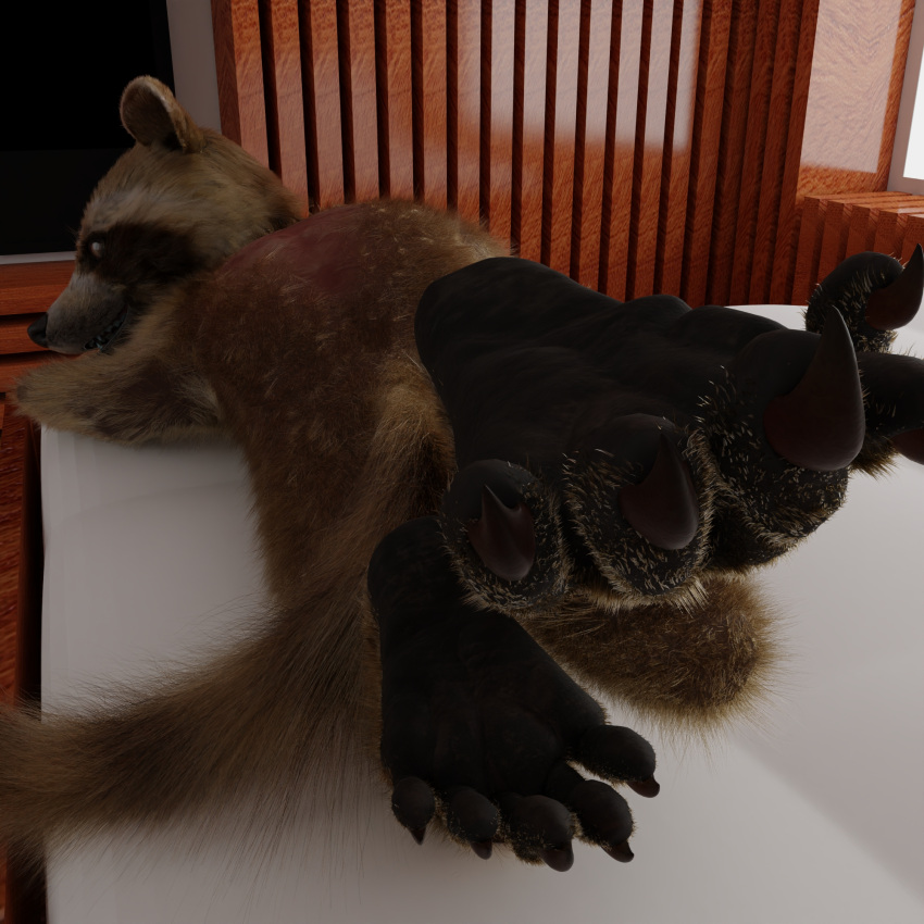 anthro bed blender_(software) brown_body brown_fur feet first_person_view foot_focus fur furniture guardians_of_the_galaxy hi_res looking_at_viewer lying lying_on_bed male mammal marvel on_bed paws procyonid raccoon rocket_raccoon smile solo tawzy