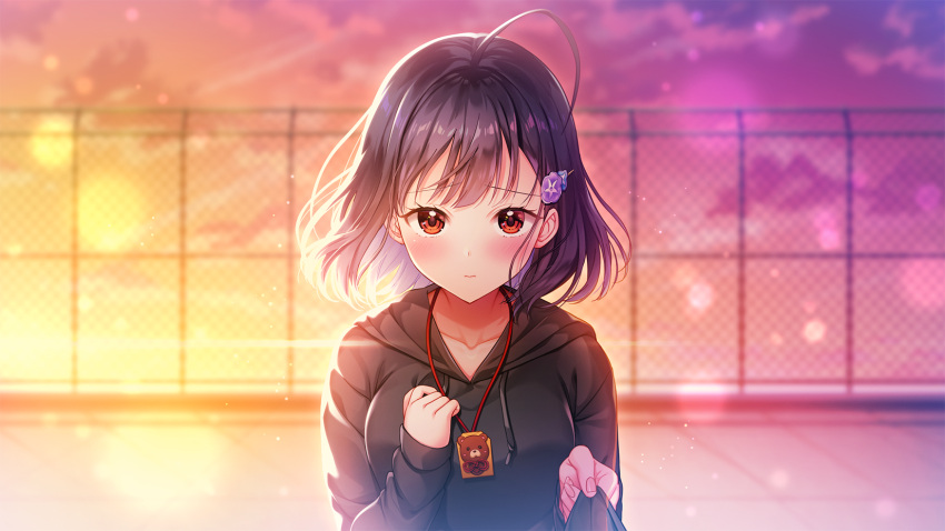 1girl ahoge asagao_wa_ai_o_shiranai. black_jacket blush closed_mouth collarbone evening flower game_cg hair_flower hair_ornament highres hiiro_asagao hood hood_down hooded_jacket jacket long_sleeves looking_at_viewer maumen medium_hair purple_hair red_eyes rooftop shiny shiny_hair sleeves_past_wrists solo upper_body