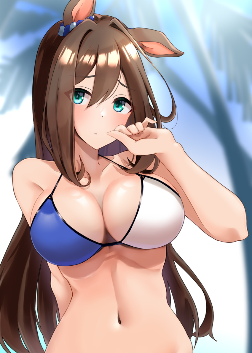 1girl animal_ears aqua_eyes arm_behind_back bare_shoulders bikini blue_bikini blue_sky blush brown_hair collarbone commentary_request day el_condor_pasa_(umamusume) hair_intakes hand_up highres horse_ears komb long_hair navel outdoors partial_commentary sky solo stomach swimsuit two-tone_bikini umamusume very_long_hair white_bikini