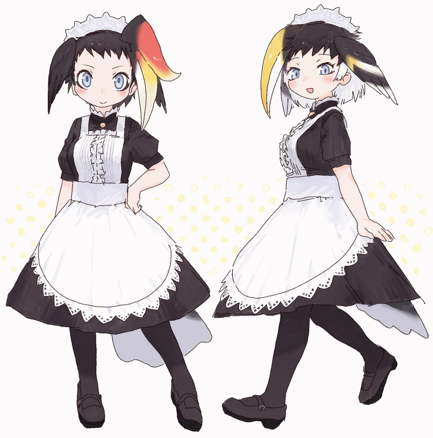 2girls alternate_costume apron bird_girl bird_tail bird_wings black_dress black_footwear black_hair black_legwear blonde_hair blue_eyes blush center_frills collar dress enmaided eyebrows_visible_through_hair frilled_collar frills great_hornbill_(kemono_friends) head_wings high_collar highres kemono_friends long_dress maid maid_apron maid_headdress mary_janes matching_outfit multicolored_hair multiple_girls pantyhose puffy_short_sleeves puffy_sleeves red_hair rhinoceros_hornbill_(kemono_friends) shoes short_sleeves tail toxicnyannyan white_apron white_hair wings