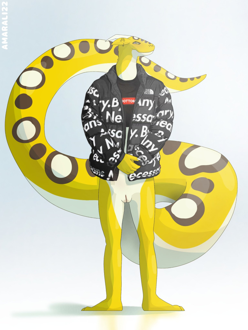 amarali_(artist) amarali_(character) andromorph anthro bottomless clothed clothing coat fur furred_snake genitals hi_res intersex pussy reptile scalie simple_background slight_blush snake solo solo_focus supreme topwear white_body yellow_body