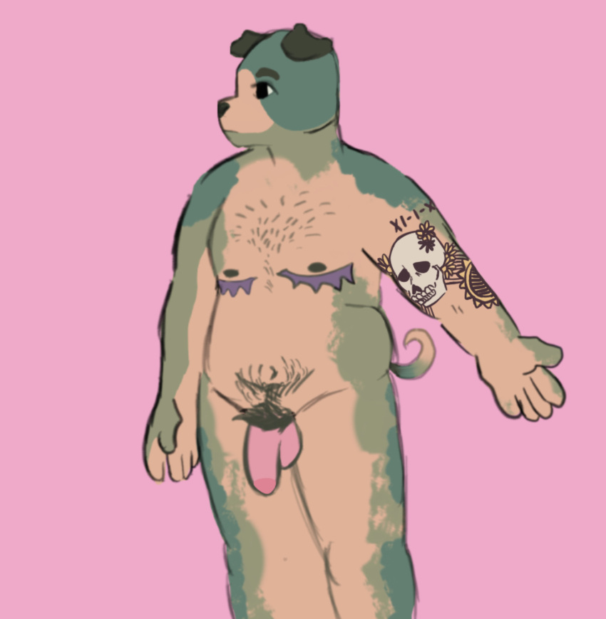 anthro balls canid canine canis domestic_dog genitals hi_res male mammal molosser nude penis pink_background pubes pug simple_background small_molosser solo tattoo toy_dog