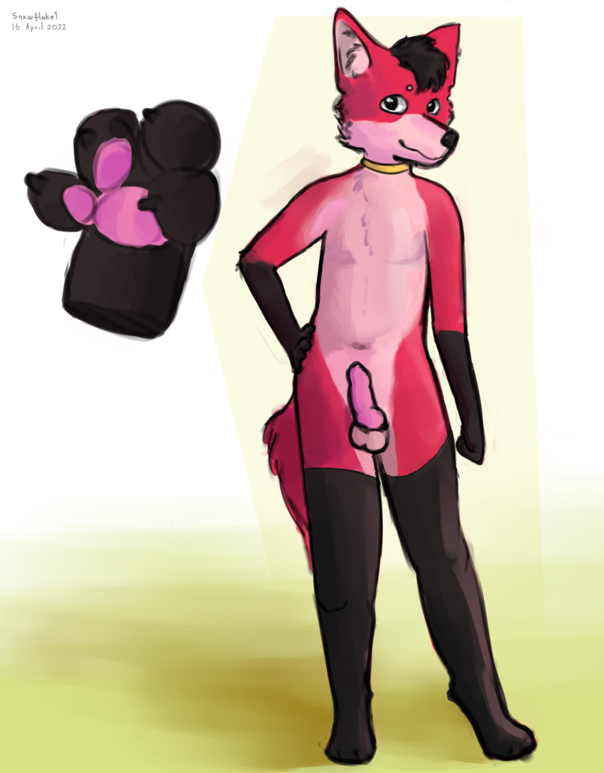 afo animal_genitalia animal_penis anthro arm_by_side black_head_tuft black_paws canid canine canine_penis fox fur genitals hand_on_hip hi_res inner_ear_fluff male mammal pawpads penis pink_pawpads pink_penis red_body red_fur red_tail snxwflake1 solo solo_focus tuft white_inner_ear_fluff