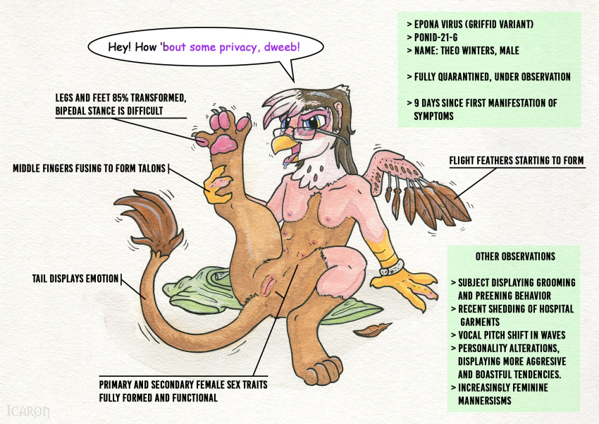 animal_genitalia animal_pussy avian beak claws english_text eyewear feather_growth feathers feline_pussy female friendship_is_magic fused_fingers genitals gilda_(mlp) glasses growth gryphon hasbro hi_res human human_to_feral icaron long_tail looking_at_viewer mammal multi_nipple my_little_pony mythological_avian mythology nipples open_mouth pawpads paws pink_pawpads pussy species_transformation text tongue tongue_out traditional_media_(artwork) transformation wing_growth wings