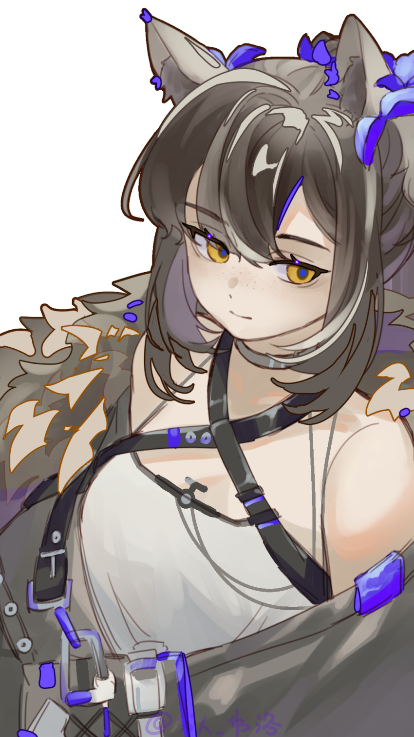 1girl animal_ears arknights bangs bare_shoulders brown_hair closed_mouth eyebrows_visible_through_hair fur_trim grey_choker hair_ornament highres lierenfelon long_hair looking_at_viewer off_shoulder official_alternate_costume ponytail raccoon_ears robin_(arknights) robin_(gift_of_wild)_(arknights) shirt simple_background smile solo upper_body white_background white_shirt yellow_eyes