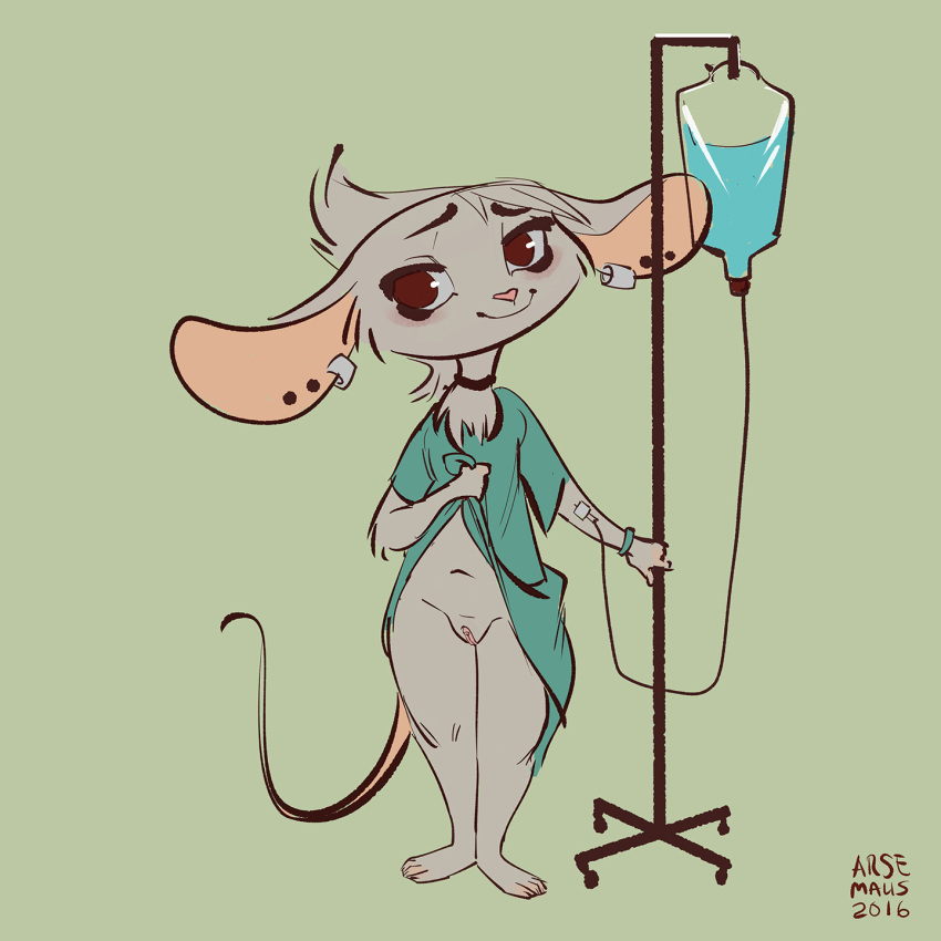 2016 anthro arsemaus big_ears clothed clothing clothing_lift ear_piercing female full-length_portrait fur genitals green_background grey_body grey_fur hi_res hospital_gown ill_jill intravenous intravenous_drip looking_at_viewer mammal mouse murid murine partially_clothed piercing portrait presenting presenting_pussy pussy rodent simple_background smile solo standing