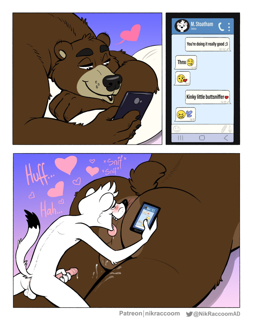 &lt;3 after_orgasm anthro anus backsack balls bed bedroom_eyes big_butt black_body black_fur black_nose black_tip_tail bodily_fluids breath brown_balls brown_body brown_fur brown_perineum butt butt_sniffing cellphone comic cum cum_on_balls cum_on_leg dipstick_tail drooling duo ejaculation emoji english_text eyebrows fangs fingers fur furniture genital_fluids genitals gradient_background half-closed_eyes hi_res holding_object holding_penis holding_phone huge_butt humanoid_genitalia humanoid_hands humanoid_penis larger_male looking_pleasured lying male male/male mammal markings masturbation mustela mustelid musteline narrowed_eyes nikraccoom nose_to_anus nude on_front open_mouth panting penile penile_masturbation penis perineum phone pillow pink_penis raised_tail saliva seductive short_tail simple_background size_difference slim smaller_male sniffing sound_effects stoat tail_markings tan_body tan_fur text texting tongue tongue_out true_musteline ursid white_balls white_body white_fur white_perineum