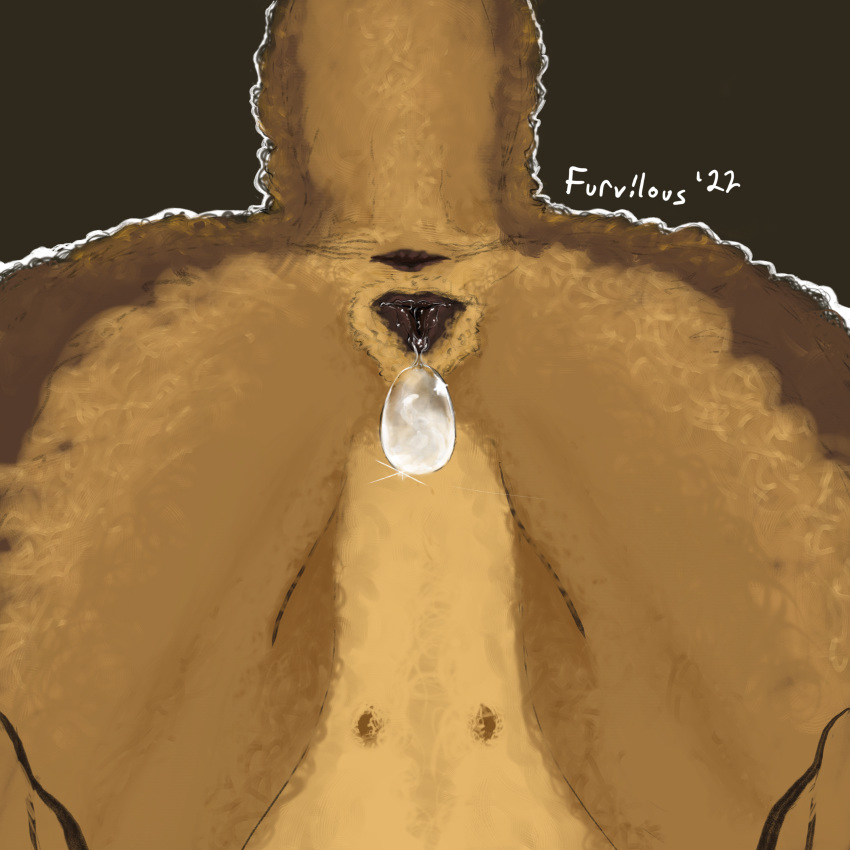 absurd_res airedale_terrier anatomically_correct anatomically_correct_genitalia anatomically_correct_pussy anus bodily_fluids canid canine canis cookie domestic_dog dripping female feral first_person_view food furvilous genital_fluids genitals hi_res horny_(disambiguation) hunting_dog mammal precum presenting pussy pussy_juice solo straddling terrier