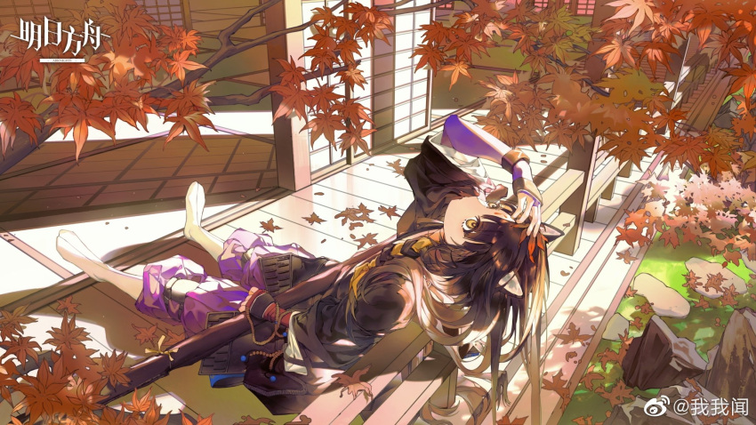 1girl against_railing animal_ear_fluff animal_ears arknights arm_up artist_name asymmetrical_gloves autumn_leaves bangs black_hair black_kimono bracelet braid closed_mouth copyright_name day dog_ears facial_mark falling_leaves fingerless_gloves forehead_mark full_body gloves hair_ribbon highres infection_monitor_(arknights) japanese_clothes jewelry kimono knee_pads leaf long_hair long_sleeves looking_afar looking_up maple_leaf mismatched_gloves no_shoes outdoors pants parted_bangs purple_gloves purple_pants railing red_gloves ribbon saga_(arknights) side_braid solo sunlight tree very_long_hair weapon_bag weibo_username white_legwear wooden_floor wowowen yellow_eyes yellow_ribbon