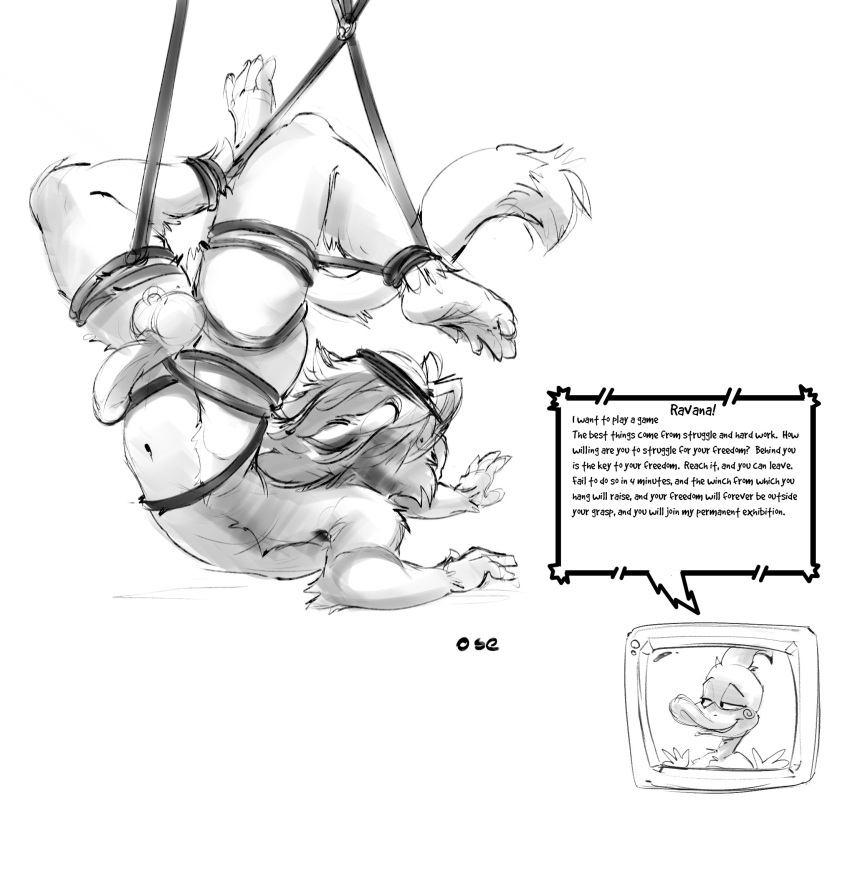 anatid anseriform anthro avian balls beak biped bird black_and_white bound cutaway dipstick_tail duck duo elbow_tufts english_text erection eyebrows faceless_anthro faceless_character faceless_male genital_piercing genitals glans half-closed_eyes hi_res humanoid_genitalia humanoid_penis leg_tuft legs_over_head legs_tied lying male markings monochrome narrowed_eyes navel on_front oselotti penis piercing quill_wonderfowl raised_eyebrows ring_piercing scrotum_piercing signature sketch speech_bubble tail_markings text tuft uncomfortable_pose