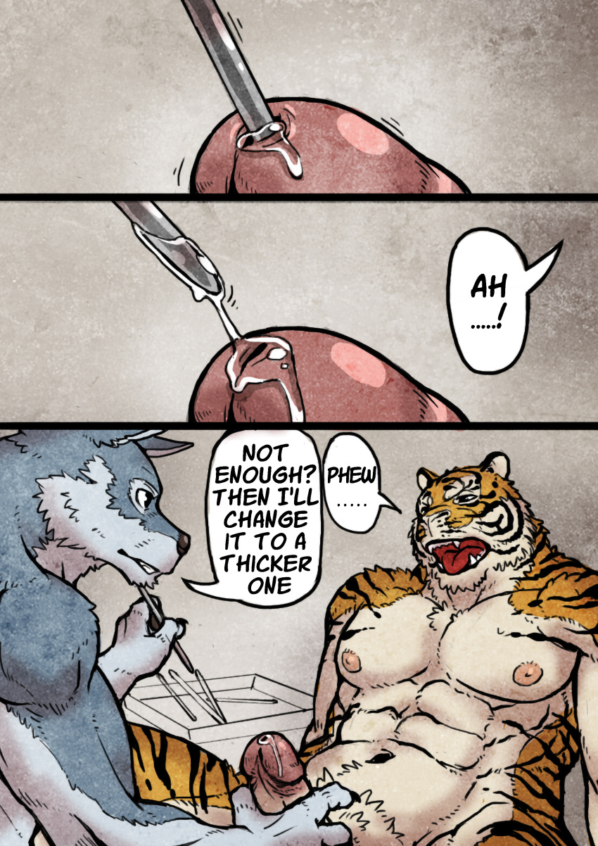 abs absurd_res anthro anthro_on_anthro anthro_penetrated anthro_penetrating anthro_penetrating_anthro biceps biped bodily_fluids canid canine canis comic duo english_text erection felid genital_fluids genitals hi_res humanoid_genitalia humanoid_penis interspecies jacketbear japanese_text male male_penetrated male_penetrating mammal navel nipples nude open_mouth pantherine pecs penetration penis precum sex sex_toy simple_background speech_bubble text tiger tongue tongue_out toying_partner translated urethral urethral_penetration wolf