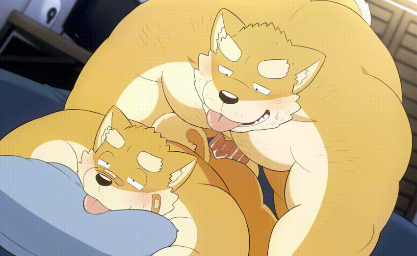 anal anal_penetration animated anthro beartouma_0517 bungo_(beartouma_0517) canid canine canis domestic_dog duo father father_and_child father_and_son genitals incest_(lore) male male/male mammal monta_(beartouma_0517) parent parent_and_child penetration penis son tongue tongue_out