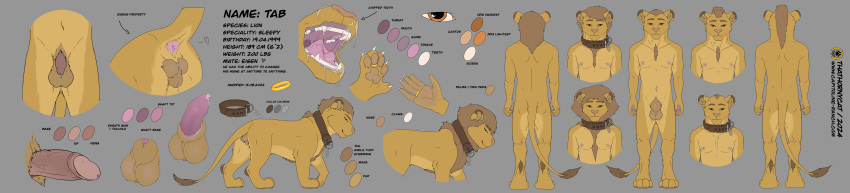 absurd_res anthro balls capitoline_ranch felid feral genitals hi_res lion long_image male mammal model_sheet pantherine penis standing tab_(thathornycat) thathornycat wide_image