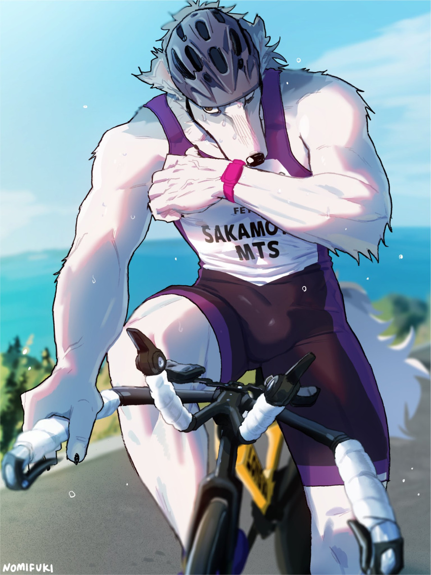 2024 anthro athletic athletic_anthro athletic_male bicycle bicycle_helmet bodily_fluids borzoi bulge canid canine canis clothing domestic_dog fur hi_res hunting_dog male mammal nomifuki sighthound solo sweat tight_clothing vehicle white_body white_fur