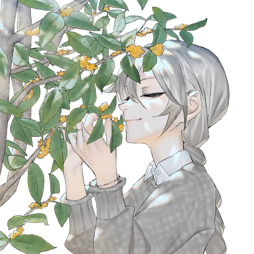 1girl alternate_costume bracelet braid braided_ponytail branch closed_eyes closed_mouth collared_shirt dappled_sunlight flower from_side grey_hair grey_sweater hands_up jewelry leaf long_hair long_sleeves mi8pq plant_request sekka_yufu shirt simple_background smelling_flower smile solo sunlight sweater tree upper_body utau white_background yellow_flower