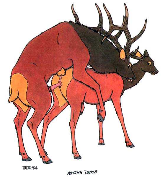 non sex deer attractant venus williams in the nude