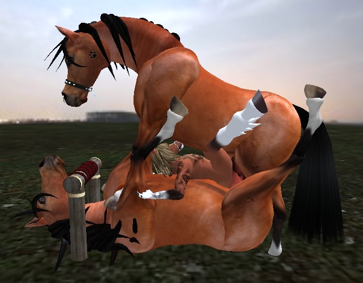 Порно Про Лошадей