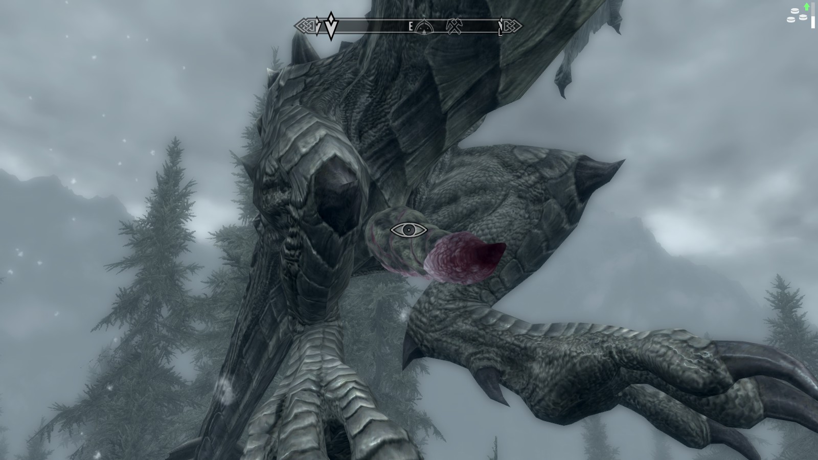 dragons cock porn webcam gratuit