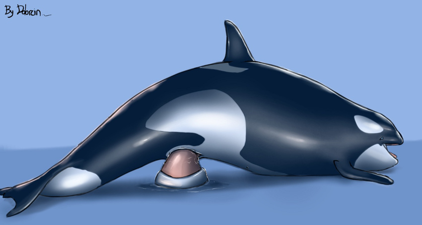 Whale Pussy 12