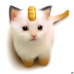  cat cat_focus coin gen_1_pokemon green_eyes khalitzburg meowth no_humans pokemon pokemon_(creature) realistic tail 