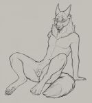  2019 animal_genitalia animal_pussy anthro canid canine canine_pussy canis claws featureless_chest female flat_chested fluffy fluffy_tail genitals hi_res leaning leaning_back mammal neck_tuft pawpads paws pussy sitting sketch smile solo tuft were werecanid werecanine werewolf wolf yaroul 