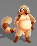  1:1 absurd_res anthro balls belly big_belly digital_media_(artwork) flaccid fur genitals hair hi_res humanoid_genitalia humanoid_penis looking_at_viewer male mammal moobs navel nipples nude overweight overweight_anthro overweight_male penis procyonid raccoon siblu sibluself small_penis solo 